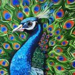 تابلو نقاشی طاووس تکنیک رنگ روغن